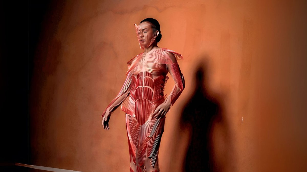 Stephanie Johnson — red 3D printed garment with fine white line pattern